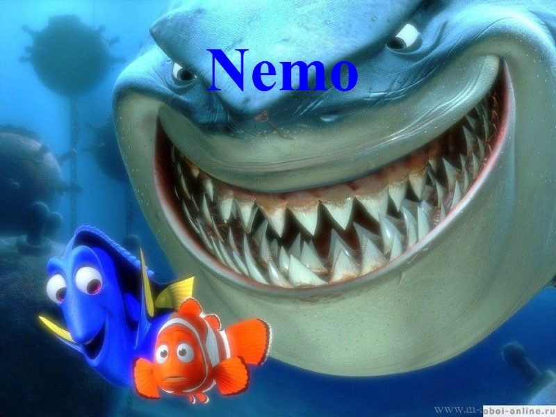 Nemo